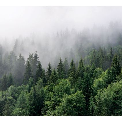 Sanders & Sanders fotobehang berglandschap met bomen groen - 3 x 2,7 m - 601174