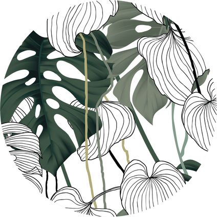 zelfklevende behangcirkel tropische jungle bladeren groen, wit en zwart