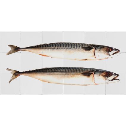 ESTAhome sticker mural des poissons gris - 97 x 48,5 cm - 159030