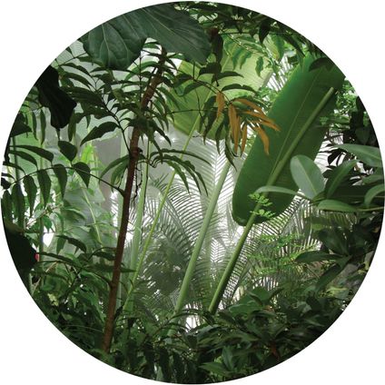 Sanders & Sanders papier peint panoramique rond adhésif feuilles tropicales vert - Ø 140 cm - 601137