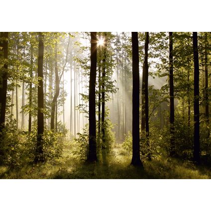Sanders & Sanders fotobehang bosrijk landschap groen - 360 x 254 cm - 600374