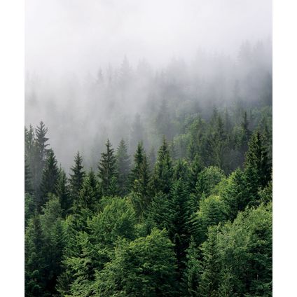 Sanders & Sanders fotobehang berglandschap met bomen groen - 2,25 x 2,7 m - 601194