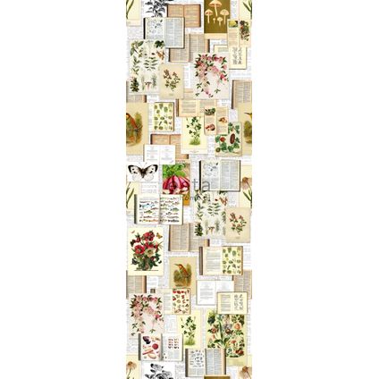ESTAhome fotobehang botanische prenten beige, groen en roze - 100 x 279 cm - 158508