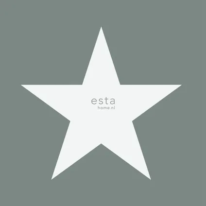 ESTAhome behangpapier sterren vergrijsd groen - 0,53 x 10,05 m - 138950 9