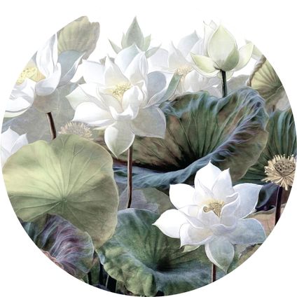 zelfklevende behangcirkel tropische bladeren en bloemen groen en wit