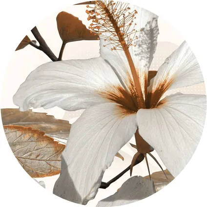 Sanders & Sanders papier peint panoramique rond adhésif fleur de lys blanc et marron - Ø 140 cm