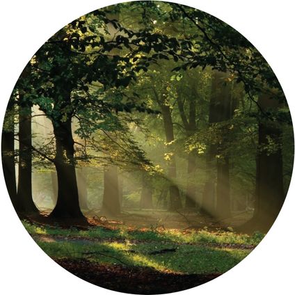 Sanders & Sanders papier peint panoramique rond adhésif paysage boisé vert - Ø 70 cm - 601097