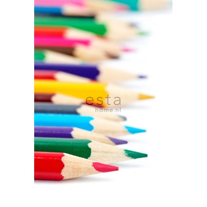 ESTAhome fotobehang kleurpotloden meerkleurig - 93 x 211,5 cm - 156504