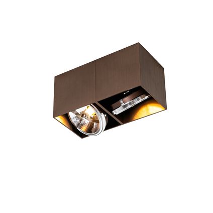 QAZQA Design spot donkerbrons rechthoekig 2-lichts draai en kantelbaar - Box