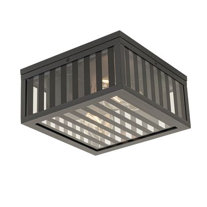 QAZQA Moderne buiten plafondlamp zwart glas 2-lichts IP44 - Dijon