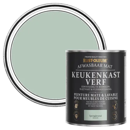 Rust-Oleum Peinture pour Meubles de Cuisine, Mat - Vert d'eau 750ml