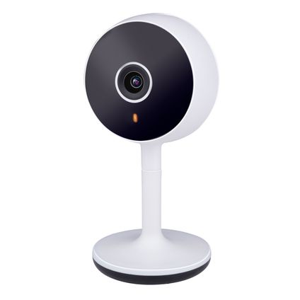 Alpina Camera Surveillance Wifi 230V FHD 1080p