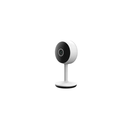 Alpina Camera Surveillance Wifi 230V FHD 1080p 6