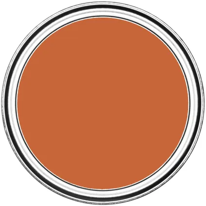 Rust-Oleum Peinture pour Radiateur, Finition Mate - Thé Chaï 750ml 5