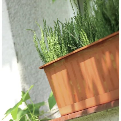 Prosperplast Plantenbak Agro - terracotta - rechthoekig - 50 cm 2