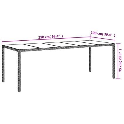 vidaXL Table de jardin Noir 250x100x75 cm Verre trempé et poly 6
