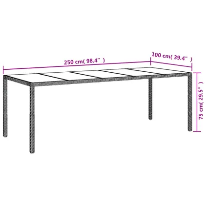 vidaXL Table de jardin Gris 250x100x75 cm Verre trempé et poly 6