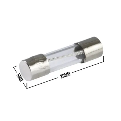 Glaszekering 5x20mm T(traag) 800mA - per 5 stuks 2