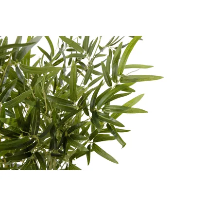 Plante Artificielle - Plastique - Vert - 100X110x110 - Woood - Bambusa 4