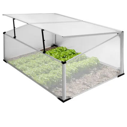 Serre de jardin polycarbonate aluminium plante légume tomate fleurs 100x60x40 cm