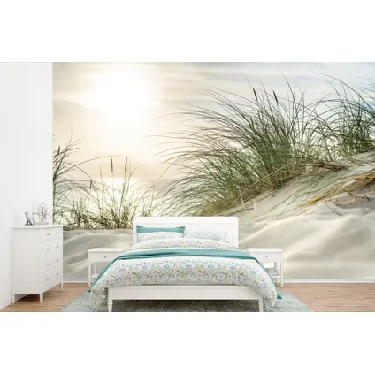 Papier peint photo 360x240 cm Dunes avec herbes de plage sous le soleil du parc national allemand