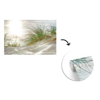 Papier peint photo 360x240 cm Dunes avec herbes de plage sous le soleil du parc national allemand 3
