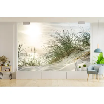 Papier peint photo 360x240 cm Dunes avec herbes de plage sous le soleil du parc national allemand 4