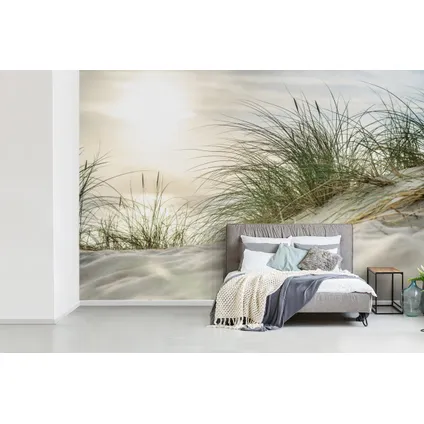 Papier peint photo 360x240 cm Dunes avec herbes de plage sous le soleil du parc national allemand 5