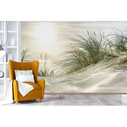Papier peint photo 360x240 cm Dunes avec herbes de plage sous le soleil du parc national allemand 6