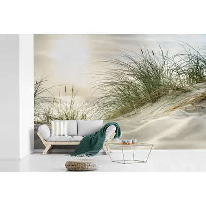 Papier peint photo 360x240 cm Dunes avec herbes de plage sous le soleil du parc national allemand 7