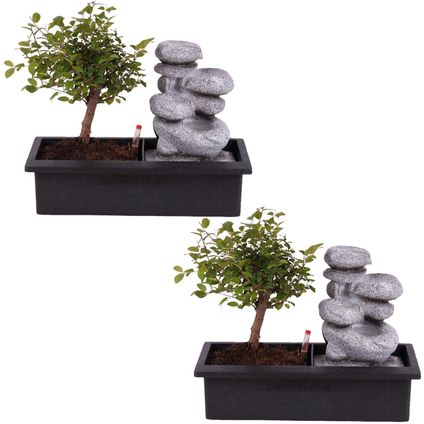 Bonsaiboom met Easy-care watersysteem - Set van 2 - Zen stenen - Hoogte 25-35cm