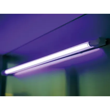 Perel Lampe UV pour destructeur d'insectes, 10 W, max. 8000 h, Ø 25.5 mm x 329 mm 2