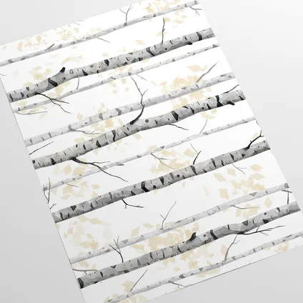 Papier Peint - Wallpapers4Beginners - Forêt de Bouleaux Noir et Blanc - Papier vegan - 250x200cm, 5,5m2 3