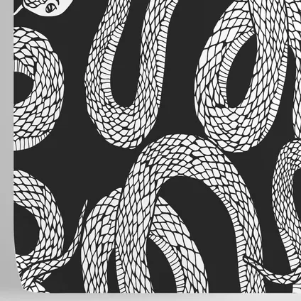 Papier Peint - Wallpapers4Beginners - Noir et Blanc Serpents - Papier vegan - 250x200cm, 5,5m2 3