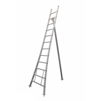 Eurostairs Picking Ladder - Échelle semi-professionnelle de coupe et échelle d'arbre - 12 étapes