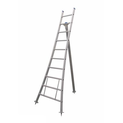 Eurostairs Picking Ladder - Échelle semi-professionnelle de coupe et échelle d'arbre - 10 étapes