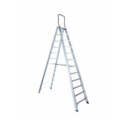 Eurostairs Professional Working Stairs - Escalier double ascendant - Industriel - 12 marches