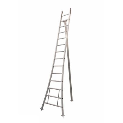 Eurostairs Picking Ladder - Échelle semi-professionnelle de coupe et échelle d'arbre - 14 étapes
