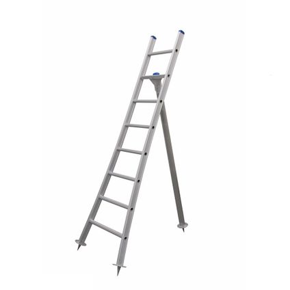 Eurostairs Picking Ladder - Échelle semi-professionnelle de coupe et échelle d'arbre - 8 étapes
