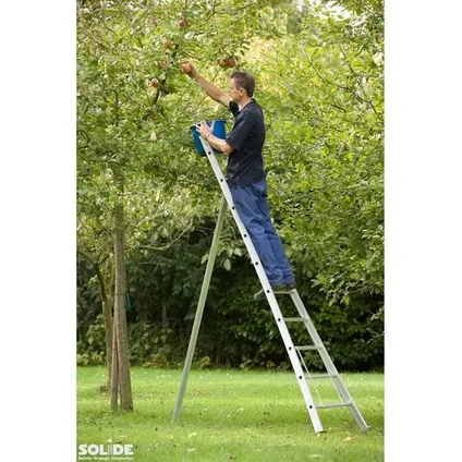 Eurostairs Picking Ladder - Échelle semi-professionnelle de coupe et échelle d'arbre - 8 étapes 6