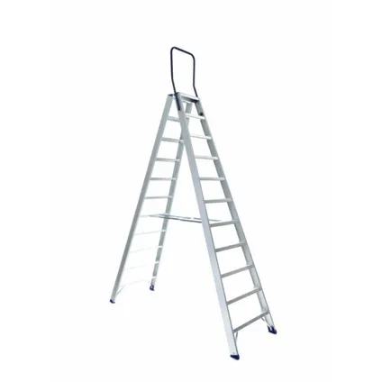 Eurostairs Professional Working Stairs - Escalier double ascendant - Industriel - 11 marches