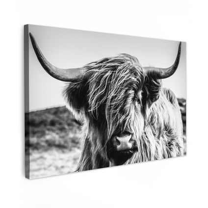 Canvas Schilderij 120x80 cm Koe - Schotse hooglander - Zwart - Wit - Dier - Natuur - Wild