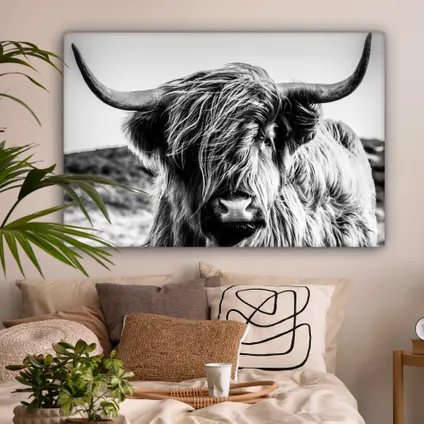 Canvas Schilderij 120x80 cm Koe - Schotse hooglander - Zwart - Wit - Dier - Natuur - Wild 2
