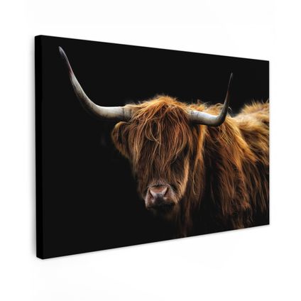 Canvas Schilderij 120x80 cm Schotse Hooglander - Horens - Zwart - Dieren - Natuur - Wild - Koe