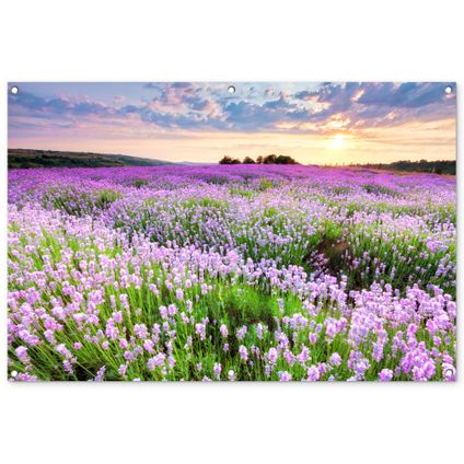 Affiche de jardin 120x80 cm Fleurs - Lavande - Violet - Ciel - Coucher de soleil - Prairie - Nature