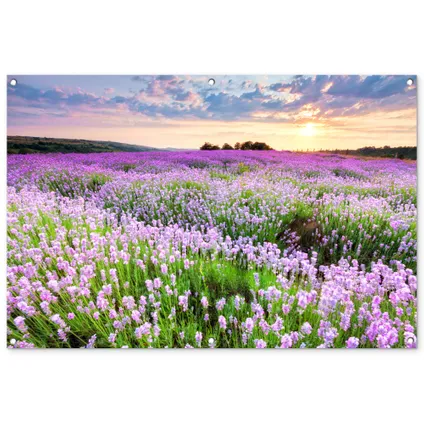 Tuinposter 120x80 cm Bloemen - Lavendel - Paars - Lucht - Zonsondergang - Weide - Natuur