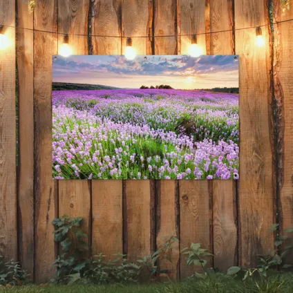 Tuinposter 120x80 cm Bloemen - Lavendel - Paars - Lucht - Zonsondergang - Weide - Natuur 2