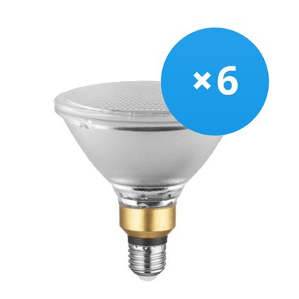 Voordeelpak 6x Ledvance Performance LED Spot E27 PAR38 15.2W 1035lm 36D - 927 Zeer Warm Wit | Beste