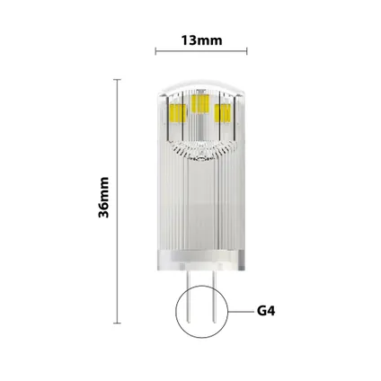 Noxion Bolt LED Capsule G4 1.8W 200lm - 830 Warm Wit | Vervangt 20W 4