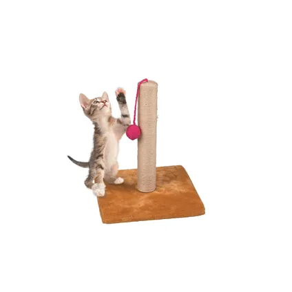 Pet Pet Toys Poteau à chat - chat - avec boule - bois, sisal, peluche 2